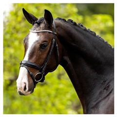 Plymouth II Snaffle Bridle (Without Reins) Cob Black and SIlver